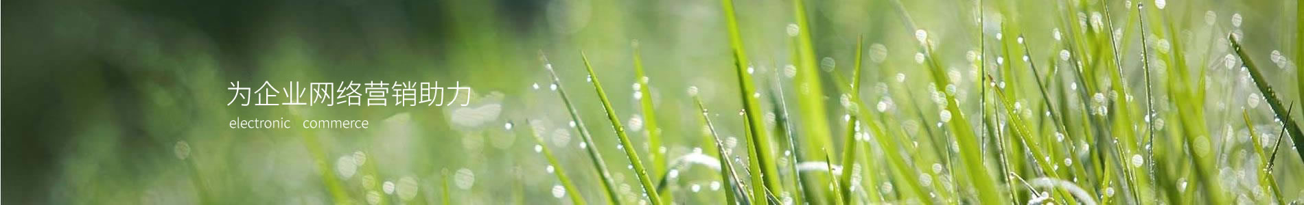 ӱһƼ޹˾